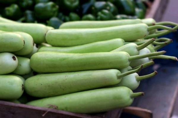 Bottle Gourd (દૂધી) - 250 GM