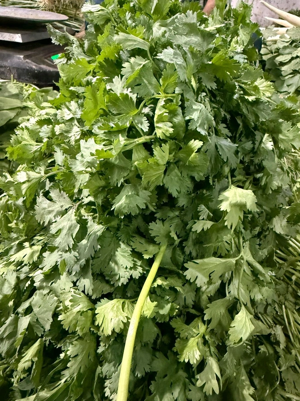 Coriander Seeds (કોથમીર) - 100 Gm