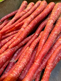 Carrot (ગાજર) - 500 Gm