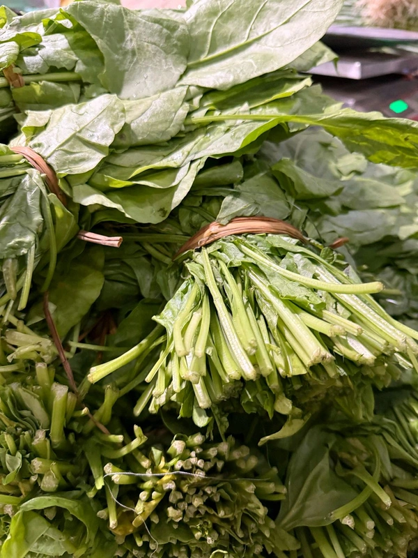 Spinach (પાલક) - 200 Gm