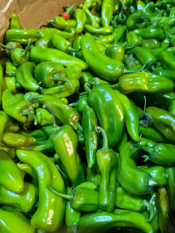 Picador Chilli (પિકાડોર મરચાં) - 250 Gm