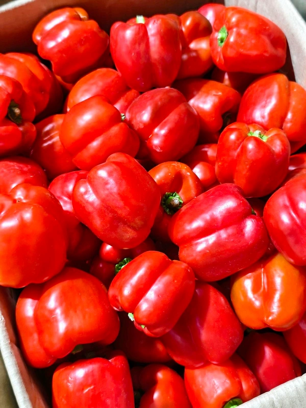 Red Capcicum (લાલ કેપ્સીકમ મરચાં) - 500 Gm