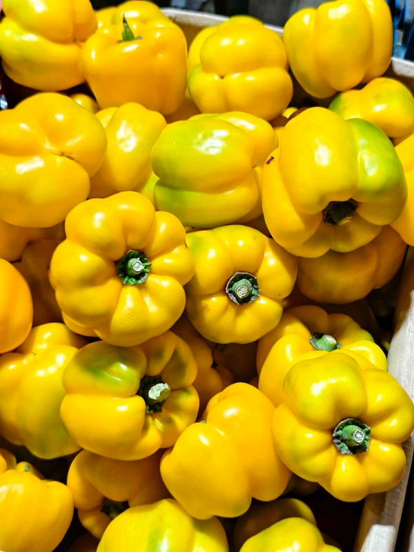 Yellow Capcicum (પીળા કેપ્સીકમ મરચાં) - 500 Gm