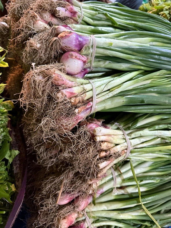 Green Onion (લીલી ડુંગળી) - 250 Gm