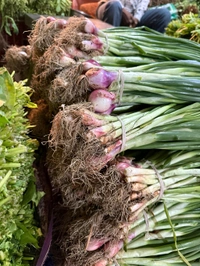 Green Onion (લીલી ડુંગળી) - 250 Gm