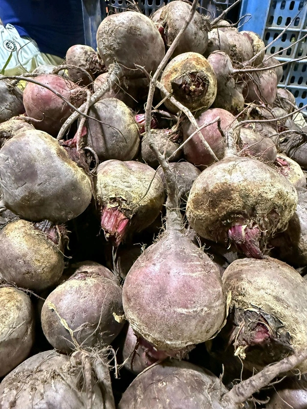 Beet (બીટ) - 200 Gm