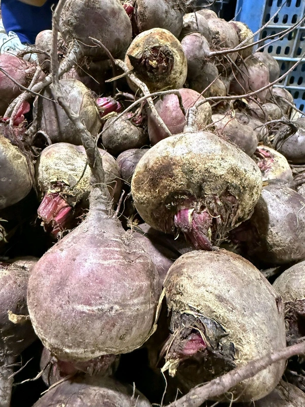 Beet (બીટ) - 200 Gm