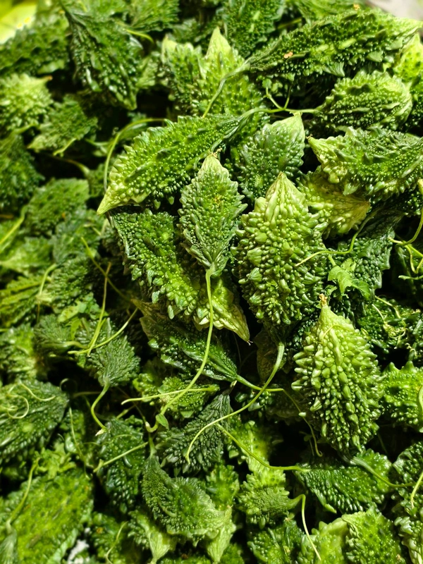 Bitter Melon (કારેલા) - 250 Gm