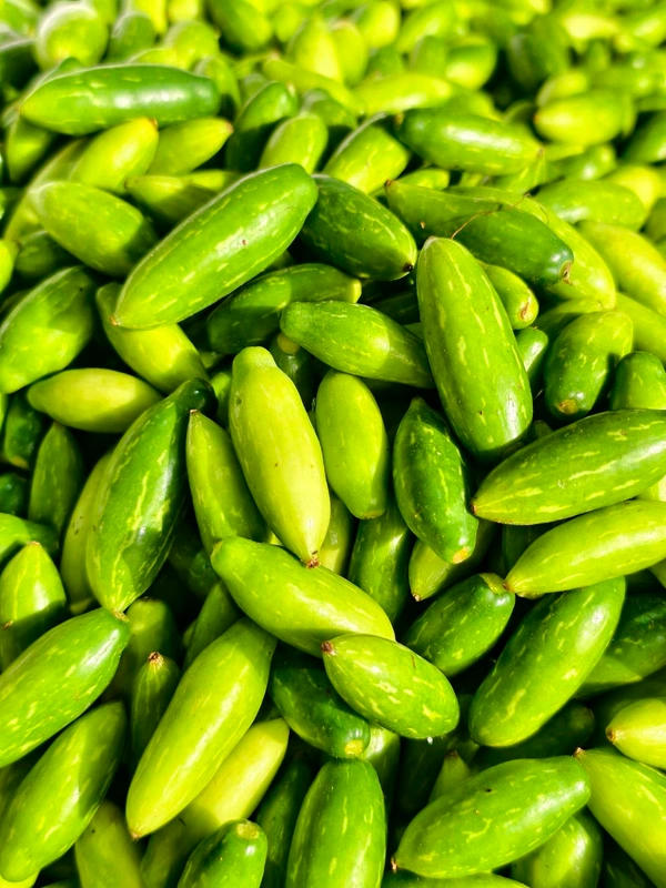 Ivy Gourd ( - 250 GM