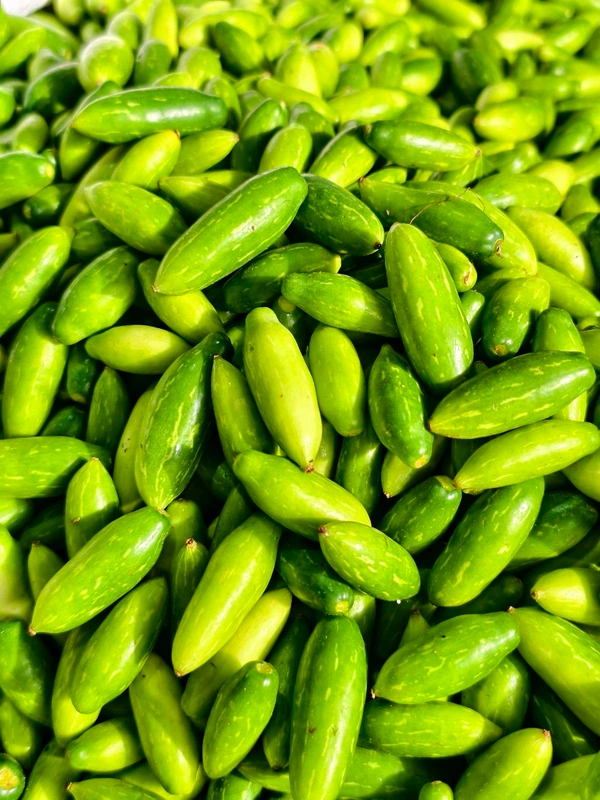 Ivy Gourd ( - 250 GM