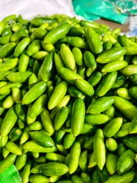 Ivy Gourd ( - 250 GM