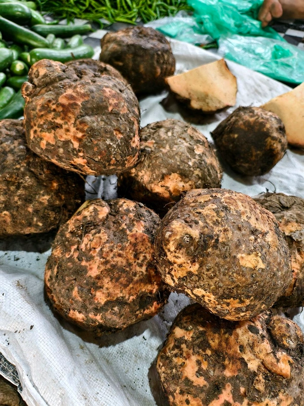 Elephant Yam ( સુરણ ) - 500 GM