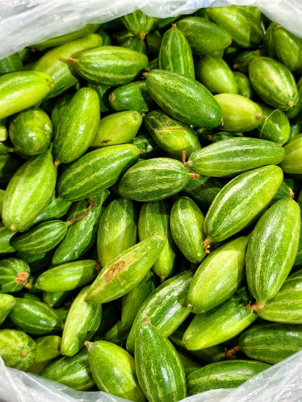 Pointed Gourd ( પરવલ ) - 500 GM