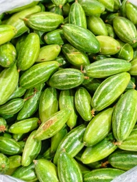 Pointed Gourd ( પરવલ ) - 500 GM