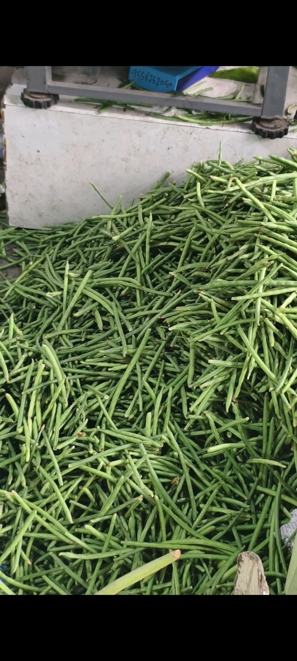 Long Beans ( ચોળી ) - 500 GM