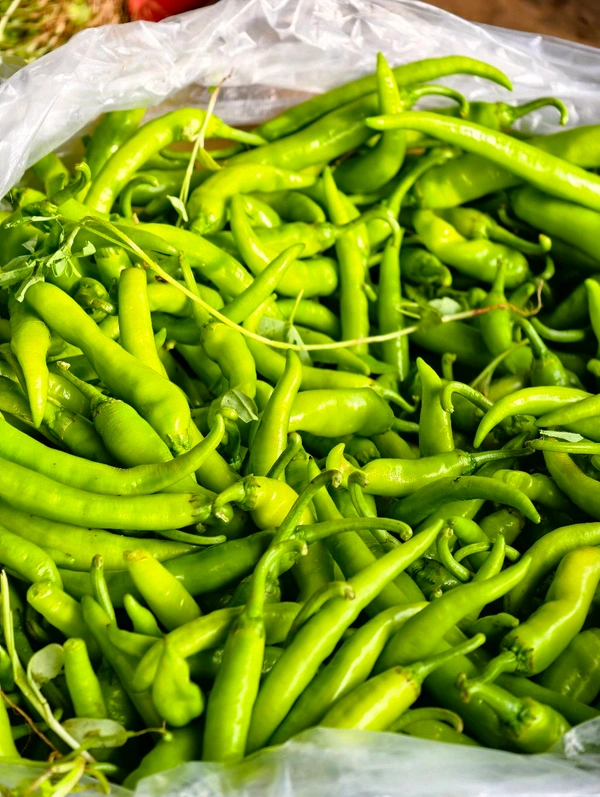 Chilli (મરચાં) - Medium Spicy  - 500 GM