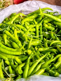 Chilli (મરચાં) - Medium Spicy  - 500 GM