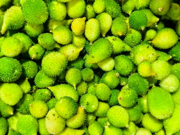 Teasel Gourd ( કંકોડા ) - 500 GM