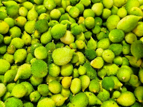 Teasel Gourd ( કંકોડા ) - 500 GM