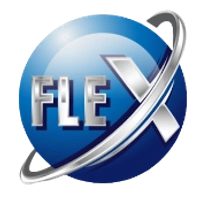 FLEXI STORE - Logo