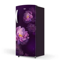 Icemagic Pro 192L 3 Star Single-Door Refrigerator - Peony  72884