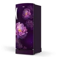 Icemagic Pro 192L 3 Star Single-Door Refrigerator with Base Drawer - Peony  72887