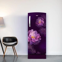 Icemagic Pro 192L 3 Star Single-Door Refrigerator with Base Drawer - Peony  72887