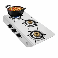 Preethi Stylo Steel 3 Burner Gas Stove |Curved & Sleek design| Heavy Brass Burner| Ant Guard Jet | Removable Drip Tray  SSGS-011