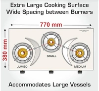 SS SLEEK 3Burner Gas Stove