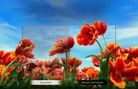 LG 108cm (43) Smart TV (LM56), Quad Core Processor, 60Hz Refresh Rate, 20W Audio Output 43lm5600ptc