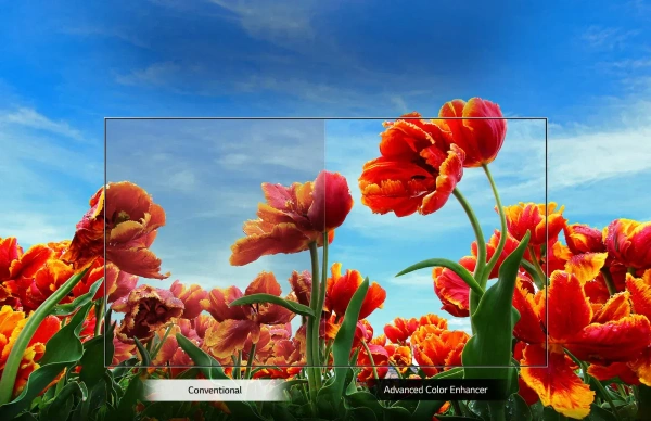 LG 108cm (43) Smart TV (LM56), Quad Core Processor, 60Hz Refresh Rate, 20W Audio Output 43lm5600ptc