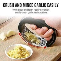 Stainless Steel Garlic Crusher Rocker – Easy Press Tool
