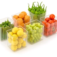 Premium Freezer Safe Storage Box – Multipurpose Airtight Container

