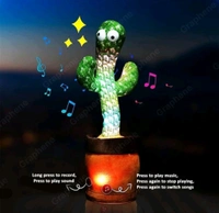 Dancing Cactus Toys - Not Exchange And Return Policy.