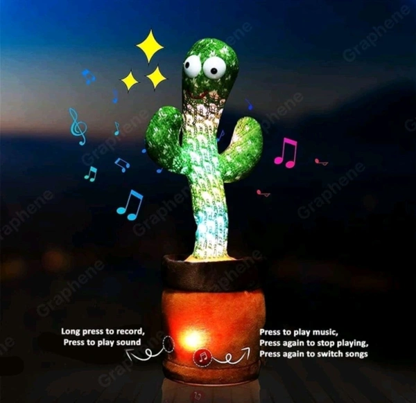 Dancing Cactus Toys - Not Exchange And Return Policy.