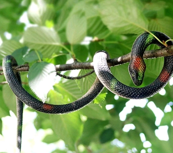 Rubber Toy Snake 28 Inch