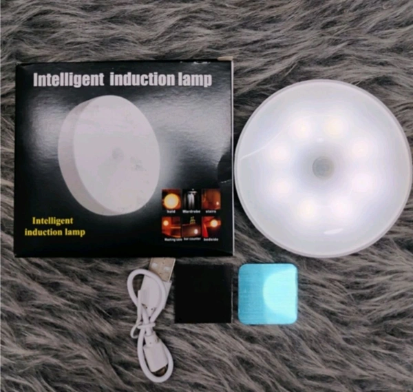 Sensor Induction Light With Button.