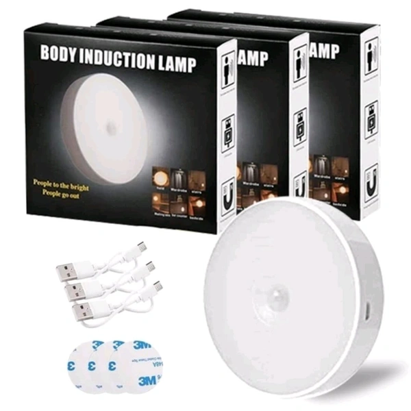 Sensor Induction Light With Button.