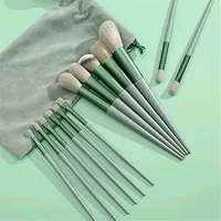 13 Pcs Premium Makeup Brush 