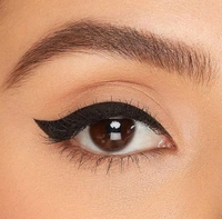  Eye Makeup 2 in 1 Brown + Black Gel Eyeliner Make Up Water-proof Smudge-proof Set Eye Liner Kit With Brushes (Black + Brown)