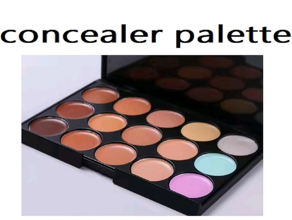 PERFECT COLOR SHADE NEW CONCEALER MATTE LIGHT WEIGHT PALETTE PACK OF 1