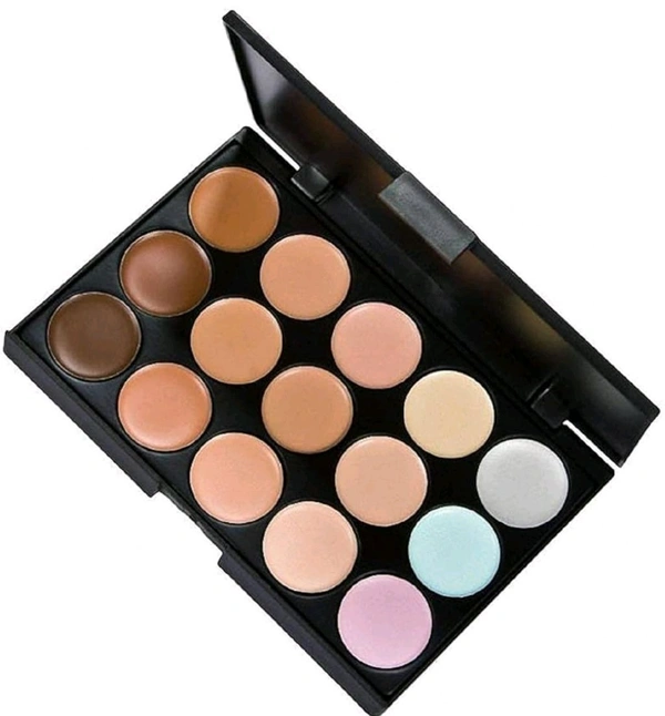 PERFECT COLOR SHADE NEW CONCEALER MATTE LIGHT WEIGHT PALETTE PACK OF 1
