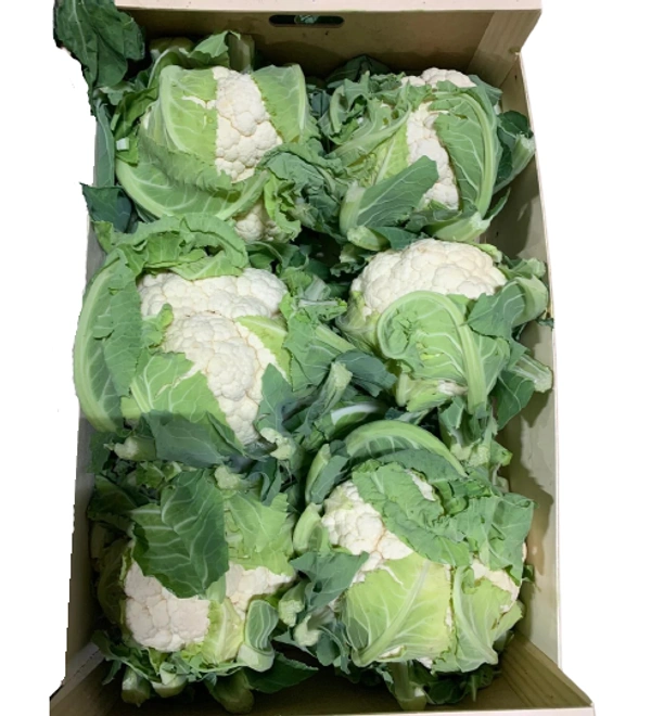 Cauliflower|قرنبيط  - Box=5Kg, 1Box