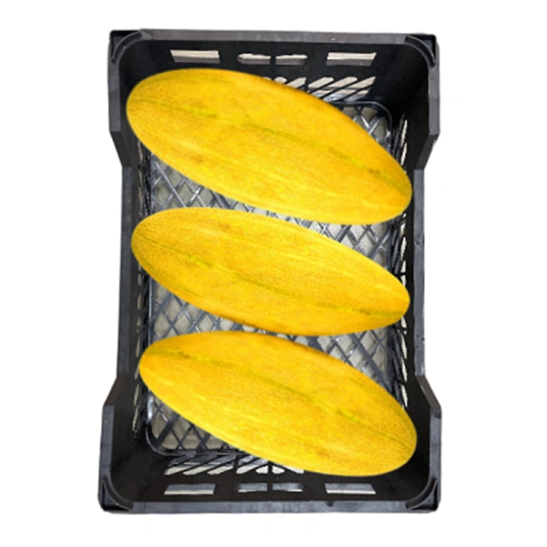 Sweet melon Mashadi|شمام مشهدي - 8Kg-10Kg, Box, 🇮🇷Iran