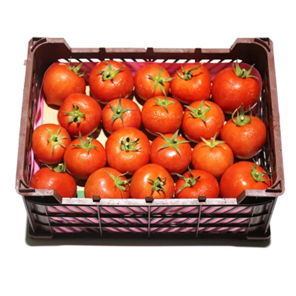 Tomato|طماطم - Box=5Kg, Box