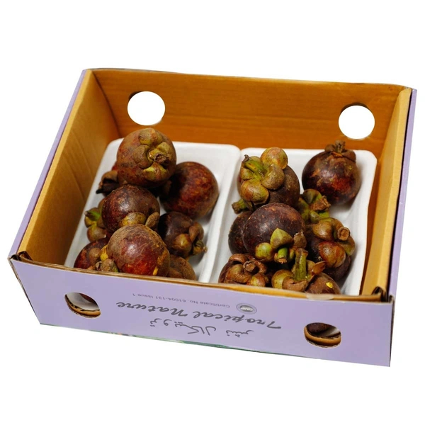 Mangosteen|مانغوستين - Box=2Pkt, Box, Indonesia
