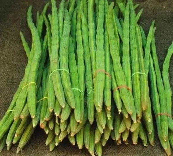 Drumsticks|أفخاذ - Bag=3Kg, 1Bag