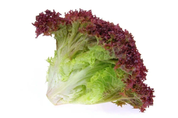 Lolo Rosso Lettuce|خس لولو روسو - 200g, Pkt