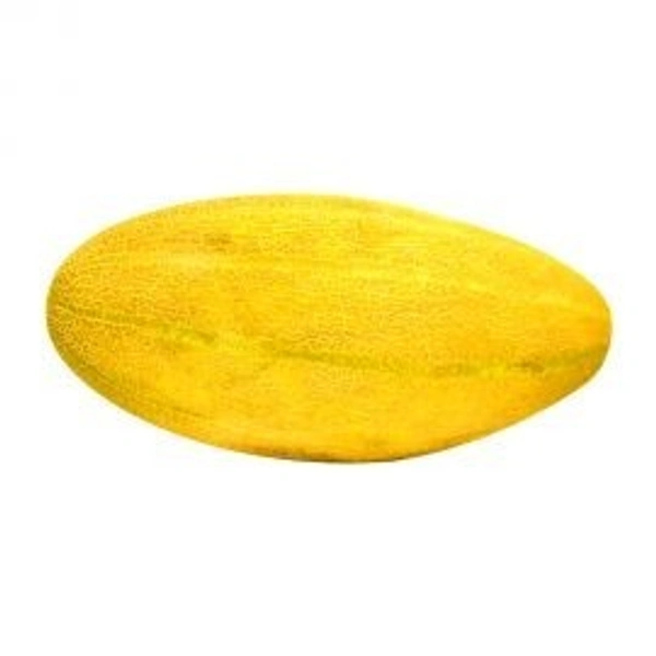 Sweet melon Mashadi|شمام مشهدي - 2Kg-2.5Kg, Pc, 🇮🇷Iran