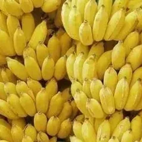 Small Banana India|موز هندي صغير - Box=4Kg, Box